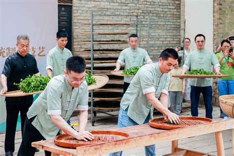 福建茶風水|福建茶文化：历史、现状与未来